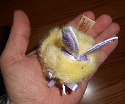  Size of product w/hand to show scale