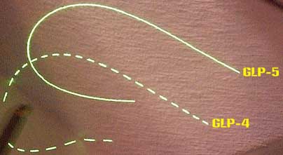 continuous and dotted